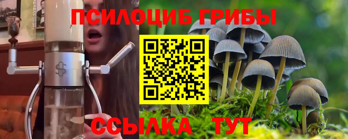 Заволжье  где купить наркоту  Галлюциногенные грибы Cubensis  Вход с VPN  Псилоцибиновые грибы GOLDEN TEACHER 